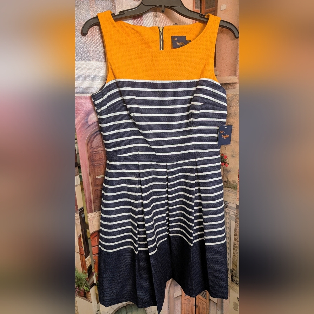 Taylor Navy and Orange Striped Dress